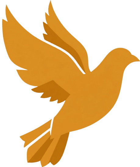 Aniss Leads - L'Acquisition B2B Systématisée